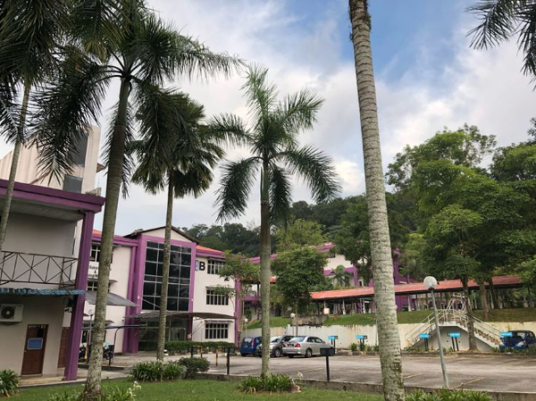 马来西亚马来亚大学奖学金有哪些？全面指南助你减轻留学成本