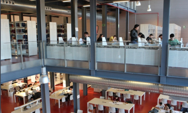 积极权威解答：木材科学专业前景如何？马来西亚博特拉大学为你揭秘