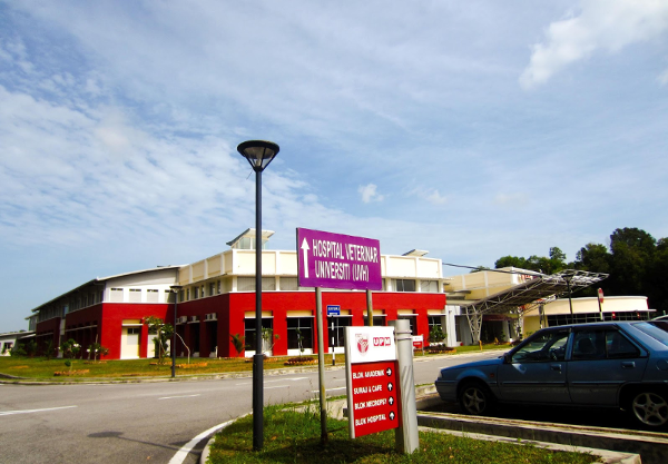 全面提升:英语强化课程助力,马来西亚博特拉大学申请更轻松